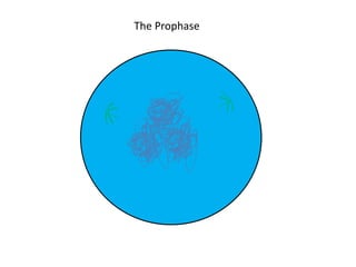 The Prophase