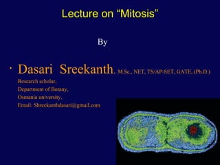 1
Lecture on “Mitosis”
By
• Dasari Sreekanth. M.Sc., NET, TS/AP-SET, GATE, (Ph.D.)
Research scholar,
Department of Botany,
Osmania university,
Email: Shreekanthdasari@gmail.com
 