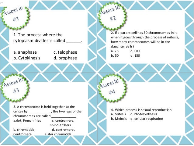 Mitosis Station Lab Cards