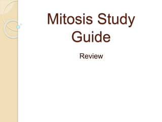 Mitosis Study
Guide
Review
 
