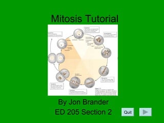 Mitosis Tutorial By Jon Brander ED 205 Section 2 Quit 