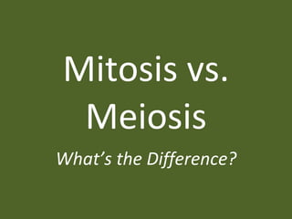 Mitosis vs. Meiosis What’s the Difference? 