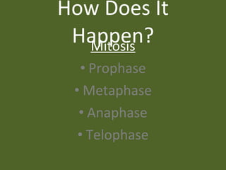 Mitosis vs. Meiosis | PPT