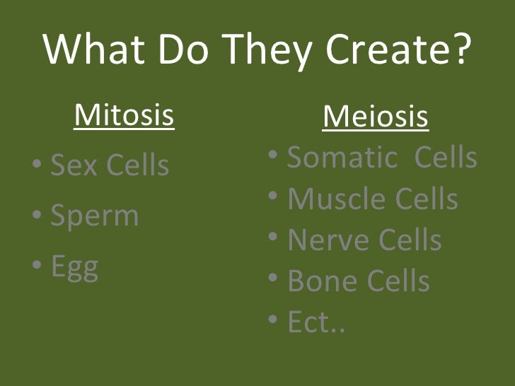 Mitosis vs. Meiosis