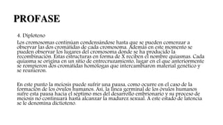 4. Diploteno
Los cromosomas continúan condensándose hasta que se pueden comenzar a
observar las dos cromátidas de cada cromosoma. Además en este momento se
pueden observar los lugares del cromosoma donde se ha producido la
recombinación. Estas estructuras en forma de X reciben el nombre quiasmas. Cada
quiasma se origina en un sitio de entrecruzamiento, lugar en el que anteriormente
se rompieron dos cromátidas homólogas que intercambiaron material genético y
se reunieron.
En este punto la meiosis puede sufrir una pausa, como ocurre en el caso de la
formación de los óvulos humanos. Así, la línea germinal de los óvulos humanos
sufre esta pausa hacia el séptimo mes del desarrollo embrionario y su proceso de
meiosis no continuará hasta alcanzar la madurez sexual. A este estado de latencia
se le denomina dictioteno.
PROFASE
 