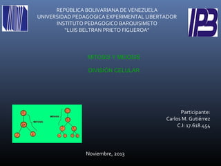 REPÚBLICA BOLIVARIANA DE VENEZUELA
UNIVERSIDAD PEDAGOGICA EXPERIMENTAL LIBERTADOR
INSTITUTO PEDAGOGICO BARQUISIMETO
“LUIS BELTRAN PRIETO FIGUEROA”

MITOSIS Y MEIOSIS
DIVISIÓN CELULAR

Participante:
Carlos M. Gutiérrez
C.I: 17.618.454

Noviembre, 2013

 