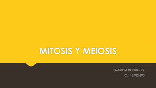 MITOSIS Y MEIOSIS
GABRIELA RODRIGUEZ
C.I: 18.922.690
 