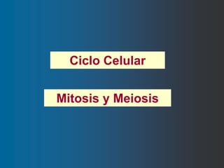 Ciclo Celular
Mitosis y Meiosis
 