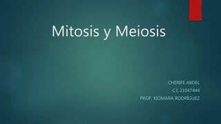 Mitosis y Meiosis
CHERIFE ABDEL
C.I. 21047444
PROF: XIOMARA RODRÍGUEZ
 