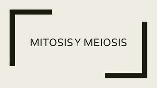 MITOSISY MEIOSIS
 