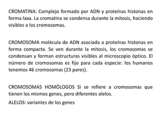 CROMATINA: Complejo formado por ADN y proteínas histonas en
forma laxa. La cromatina se condensa durante la mitosis, haciendo
visibles a los cromosomas.
CROMOSOMA molécula de ADN asociada a proteínas histonas en
forma compacta. Se ven durante la mitosis, los cromosomas se
condensan y forman estructuras visibles al microscopio óptico. El
número de cromosomas es fijo para cada especie: los humanos
tenemos 46 cromosomas (23 pares).
CROMOSOMAS HOMÓLOGOS Si se refiere a cromosomas que
tienen los mismos genes, pero diferentes alelos.
ALELOS: variantes de los genes
 
