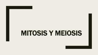 MITOSIS Y MEIOSIS
 