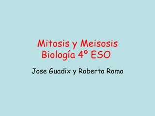 Mitosis y Meisosis
 Biología 4º ESO
Jose Guadix y Roberto Romo
 