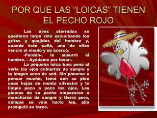 POR QUE LAS “LOICAS” TIENENPOR QUE LAS “LOICAS” TIENEN
EL PECHO ROJOEL PECHO ROJO
Las aves aterradas se
quedaron largo rato escuchando los
gritos y quejidos del hombre y,
cuando éste calló, una de ellas
venció el miedo y se acercó.
-Perdón-, le susurró el
hombre, - Ayúdame por favor-.
La pequeña loica tuvo pena al
verle los ojos cubiertos de sangre y
la lengua seca de sed. Sin ponerse a
pensar mucho, tomó con su pico
unas hojas de menta silvestre y le
limpio poco a poco los ojos. Las
plumas de su pecho empezaron a
mancharse de sangre y tierra pero,
aunque se veía harto fea, ella
prosiguió su tarea.
 