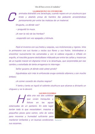 LA JARACHUPA Y EL UTUSHCURO
aminaba distraída una Jarachupa, cuando reparo en un utushcuro que
triste y abatido presa de hambre iba jadeante arrastrándose
penosamente por entre las malezas de un matorral.
Oruguita, ¿a dónde vas?
– preguntó la muca.
¿A roer la raíz de las hierbas?
-respondió con voz apagada y trémula.
Pasó el invierno con sus hielos y sequías, sus inclemencias y rigores. Vino
la primavera con sus lluvias y rocíos sus flores y sus frutos. Volviéndose a
encontrar nuevamente los camaradas y con la cabeza erguida e inflado en
orgullo, el irascible gusano deslizábase infatuado por entre las cañas y mazorcas
de un tupido maizal sin dignarse mirar a la Jarachupa, que sorprendida por ese
cambio y extrañada de tanta arrogancia le interroga:
Señor gusano ¿A dónde está usted yendo?
Irguiéndose aún más le enfurecida oruga contesto altanera y con mucho
énfasis:
¿A comer corazón de choclos negros?
Y tanto y tanto se irguió el valiente utushcuro que alcanzo a divisarlo un
chiguaco y se lo devoró.
LAS DOS CULEBRAS
abía una vez dos culebras
que vivían tranquilas y
felices en las aguas
estancadas de un pantano. En este lugar
tenían todo lo que necesitaban: insectos y
pequeños peces para comer, sitio de sobra
para moverse y humedad suficiente para
mantener brillantes y en buenas condiciones
sus escamas.
C
H
Ilustración 7
 