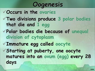 121
Oogenesis
Occurs in the ovaries
Two divisions produce 3 polar bodies
that die and 1 egg
Polar bodies die because of unequal
division of cytoplasm
Immature egg called oocyte
Starting at puberty, one oocyte
matures into an ovum (egg) every 28
days
 