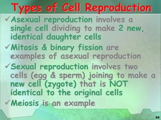 20
Types of Cell Reproduction
Asexual reproduction involves a
single cell dividing to make 2 new,
identical daughter cells
Mitosis & binary fission are
examples of asexual reproduction
Sexual reproduction involves two
cells (egg & sperm) joining to make a
new cell (zygote) that is NOT
identical to the original cells
Meiosis is an example
 