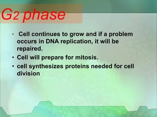 • Cell continues to grow and if a problem
occurs in DNA replication, it will be
repaired.
• Cell will prepare for mitosis.
• cell synthesizes proteins needed for cell
division
G2 phase
 