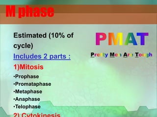 Estimated (10% of
cycle)
Includes 2 parts :
1)Mitosis
•Prophase
•Promataphase
•Metaphase
•Anaphase
•Telophase
M phase
 