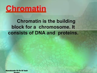 Chromatin
Chromatin is the building
block for a chromosome. It
consists of DNA and proteins.
Nawabzada Ch Dr M Yasir
 