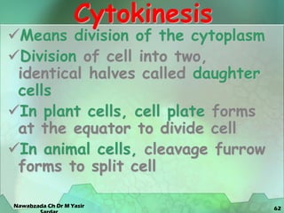 62
Cytokinesis
Means division of the cytoplasm
Division of cell into two,
identical halves called daughter
cells
In plant cells, cell plate forms
at the equator to divide cell
In animal cells, cleavage furrow
forms to split cell
Nawabzada Ch Dr M Yasir
 