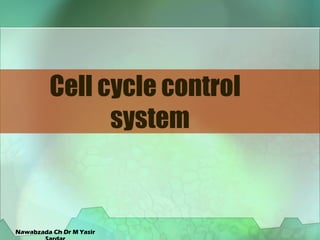 Cell cycle control
system
Nawabzada Ch Dr M Yasir
 