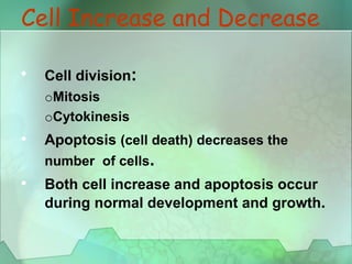 Cell Increase and Decrease
•
•
•
Cell division:
oMitosis
oCytokinesis
Apoptosis (cell death) decreases the
number of cells.
Both cell increase and apoptosis occur
during normal development and growth.
 