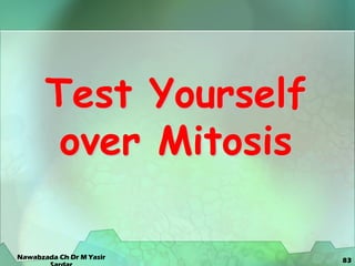 83
Test Yourself
over Mitosis
Nawabzada Ch Dr M Yasir
 