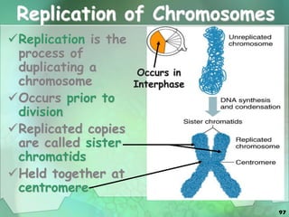 97
Replication of Chromosomes
Replication is the
process of
duplicating a
chromosome
Occurs prior to
division
Replicated copies
are called sister
chromatids
Held together at
centromere
Occurs in
Interphase
 
