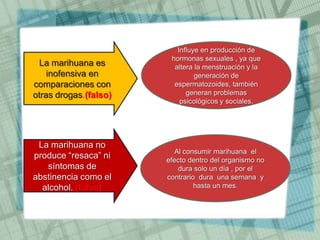 La marihuana es
inofensiva en
comparaciones con
otras drogas.(falso)
La marihuana no
produce “resaca” ni
síntomas de
abstinencia como el
alcohol. (falso)
Al consumir marihuana el
efecto dentro del organismo no
dura solo un día , por el
contrario dura una semana y
hasta un mes.
Influye en producción de
hormonas sexuales , ya que
altera la menstruación y la
generación de
espermatozoides, también
generan problemas
psicológicos y sociales.
 