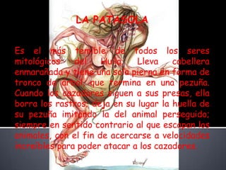 LA PATASOLAEs el más temible de todos los seres mitológicos del Huila. Lleva cabellera enmarañada y tiene una sola pierna en forma de tronco de árbol, que termina en una pezuña. Cuando los cazadores siguen a sus presas, ella borra los rastros; deja en su lugar la huella de su pezuña imitando la del animal perseguido; siempre en sentido contrario al que escapan los animales, con el fin de acercarse a velocidades increíbles para poder atacar a los cazadores. 