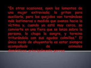 "En otras ocasiones, oyen los lamentos de una mujer extraviada; la gritan para auxiliarla, pero los quejidos van tornándose más lastimeros a medida que avanza hacia la víctima y, cuando ya está muy cerca, se convierte en una fiera que se lanza sobre la persona, le chupa la sangre, y termina triturándola con sus agudos colmillos." El único modo de ahuyentarla es estar siempre acompañado de animales domésticos, principalmente perros. 