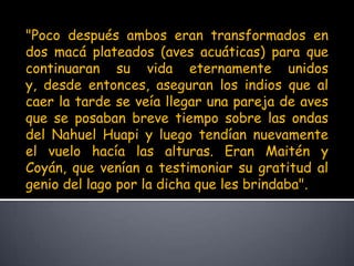 "Poco después ambos eran transformados en dos macá plateados (aves acuáticas) para que continuaran su vida eternamente unidos y, desde entonces, aseguran los indios que al caer la tarde se veía llegar una pareja de aves que se posaban breve tiempo sobre las ondas del Nahuel Huapi y luego tendían nuevamente el vuelo hacía las alturas. Eran Maitén y Coyán, que venían a testimoniar su gratitud al genio del lago por la dicha que les brindaba".
