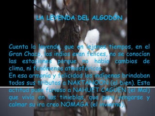 LA LEYENDA DEL ALGODÓNCuenta la leyenda, que en lejanos tiempos, en el Gran Chaco, los indios eran felices, no se conocían las estaciones porque no había cambios de clima, ni fenómenos atmosféricos.En esa armonía y felicidad los indígenas brindaban todos sus tributos a NAKTÁNOÓN (el bien). Esta actitud puso furioso a NAHUET CAGÜEN (el Mal) que vivía en las tinieblas, que para vengarse y calmar su ira creo NOMAGA (el invierno).