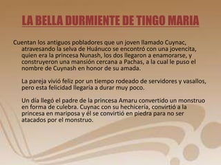 LA BELLA DURMIENTE DE TINGO MARIA 
Cuentan los antiguos pobladores que un joven llamado Cuynac, 
atravesando la selva de Huánuco se encontró con una jovencita, 
quien era la princesa Nunash, los dos llegaron a enamorarse, y 
construyeron una mansión cercana a Pachas, a la cual le puso el 
nombre de Cuynash en honor de su amada. 
La pareja vivió feliz por un tiempo rodeado de servidores y vasallos, 
pero esta felicidad llegaría a durar muy poco. 
Un día llegó el padre de la princesa Amaru convertido un monstruo 
en forma de culebra. Cuynac con su hechicería, convirtió a la 
princesa en mariposa y él se convirtió en piedra para no ser 
atacados por el monstruo. 
 