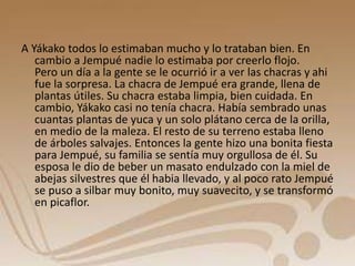 A Yákako todos lo estimaban mucho y lo trataban bien. En 
cambio a Jempué nadie lo estimaba por creerlo flojo. 
Pero un día a la gente se le ocurrió ir a ver las chacras y ahi 
fue la sorpresa. La chacra de Jempué era grande, llena de 
plantas útiles. Su chacra estaba limpia, bien cuidada. En 
cambio, Yákako casi no tenía chacra. Había sembrado unas 
cuantas plantas de yuca y un solo plátano cerca de la orilla, 
en medio de la maleza. El resto de su terreno estaba lleno 
de árboles salvajes. Entonces la gente hizo una bonita fiesta 
para Jempué, su familia se sentía muy orgullosa de él. Su 
esposa le dio de beber un masato endulzado con la miel de 
abejas silvestres que él habia llevado, y al poco rato Jempué 
se puso a silbar muy bonito, muy suavecito, y se transformó 
en picaflor. 
 