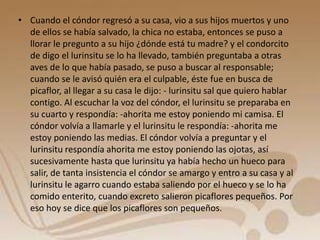 • Cuando el cóndor regresó a su casa, vio a sus hijos muertos y uno 
de ellos se había salvado, la chica no estaba, entonces se puso a 
llorar le pregunto a su hijo ¿dónde está tu madre? y el condorcito 
de digo el lurinsitu se lo ha llevado, también preguntaba a otras 
aves de lo que había pasado, se puso a buscar al responsable; 
cuando se le avisó quién era el culpable, éste fue en busca de 
picaflor, al llegar a su casa le dijo: - lurinsitu sal que quiero hablar 
contigo. Al escuchar la voz del cóndor, el lurinsitu se preparaba en 
su cuarto y respondía: -ahorita me estoy poniendo mi camisa. El 
cóndor volvía a llamarle y el lurinsitu le respondía: -ahorita me 
estoy poniendo las medias. El cóndor volvía a preguntar y el 
lurinsitu respondía ahorita me estoy poniendo las ojotas, así 
sucesivamente hasta que lurinsitu ya había hecho un hueco para 
salir, de tanta insistencia el cóndor se amargo y entro a su casa y al 
lurinsitu le agarro cuando estaba saliendo por el hueco y se lo ha 
comido enterito, cuando excreto salieron picaflores pequeños. Por 
eso hoy se dice que los picaflores son pequeños. 
 