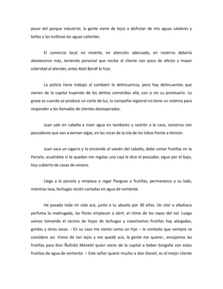 pesar del parque industrial, la gente viene de lejos a disfrutar de mis aguas salobres y
bellas y las turbinas las aguas calientes.

El comercio local no invierte, en atención adecuada, en invierno debería
abastecerse más, teniendo personal que reciba al cliente con poco de afecto y mayor
celeridad al atender, antes Atalí Bendi lo hizo.

La policía tiene trabajo al combatir la delincuencia, pero hay delincuentes que
vienen de la capital huyendo de los delitos cometidos allá, con o sin su prontuario. Lo
grave es cuando se produce un corte de luz, la compañía regional no tiene un sistema para
responder a las llamadas de clientes desesperados.

Juan sale en caballo a traer agua en tambores y rastrón a la casa, conversa con
pescadores que van a extraer algas, en las rocas de la Isla de los lobos frente a Horcón.

Juan saca un cigarro y lo enciende al vaivén del caballo, debe cortar frutillas en la
Parcela, acuérdate si te quedan me regalas una caja le dice el pescador, sigue por el bajo,
hoy cubierto de casas de verano.

Llega a la parcela y empieza a regar Pangues y frutillas, permanezco a su lado,
mientras lava, lechugas recién cortadas en agua de vertiente.

He pasado toda mi vida acá, junto a tu abuelo por 30 años. Un olor a albahaca
perfuma la madrugada, las flores empiezan a abrir, al ritmo de los rayos del sol. Luego
vamos tomando el racimo de hojas de lechugas y cosechamos frutillas hay alargadas,
gordas y otras secas. - En su casa me siento como un hijo – le contesto que siempre se
considere así. Viene de tan lejos y me quedé acá, la gente me quiere-, encajamos las
frutillas para Don Ñufrido Manetti quien viene de la capital a beber borgoña con estas
frutillas de agua de vertiente. – Este señor quiere mucho a don Daniel, es el mejor cliente

 