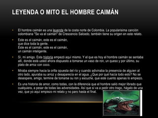 LEYENDA O MITO EL HOMBRE CAIMÁN
• El hombre caimán es una leyenda de la costa norte de Colombia. La popularisima canción
colombiana "Se va el caimán" de Crescencio Salcedo, también tiene su origen en este relato.
• Este es el caimán, este es el caimán,
que dice toda la gente.
Este es el caimán, este es el caimán,
un caimán inteligente.
• Sí, mi amigo. Esta historia empezó aquí mismo. Y el que es hoy el hombre caimán se sentaba
allí, donde está usted ahora dispuesto a tomarse un vaso de ron, un queso y por último, su
plato de arroz con coco.
• Miraba siempre hacia la orilla opuesta del río y cuando adivinaba la presencia de alguien al
otro lado, apuraba su arroz y desaparecía en el agua. ¿Que por qué hacía todo esto? No se
desespere, amigo, termine de tomarse su ron y escuche, que este cuento apenas lo empiezo.
• Es una historia de amor, como todas, con la diferencia que el hombre salió mejor librado que
cualquiera, a pesar de todas las adversidades. Así que si va a pedir otro trago, hágalo de una
vez, que yo aquí empiezo mi relato y no paro hasta el final.
 