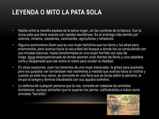 LEYENDA O MITO LA PATA SOLA
• Habita entre la maraña espesa de la selva virgen, en las cumbres de la llanura. Con la
única pata que tiene avanza con rapidez asombrosa. Es el endriago más temido por
colonos, mineros, cazadores, caminantes, agricultores y leñadores.
• Algunos aventureros dicen que es una mujer bellísima que los llama y los atrae para
enamorarlos, pero avanza hacía la oscuridad del bosque a donde los va conduciendo con
sus miradas lascivas, hasta transformarse en una mujer horrible con ojos de
fuego, boca desproporcionada de donde asoman unos dientes de felino y una cabellera
corta y despeinada que cae sobre el rostro para ocultar su fealdad.
• En otras ocasiones, oyen los lamentos de una mujer extraviada; la gritan para auxiliarla,
pero los quejidos van tornándose más lastimeros a medida que avanza hacia la víctima y
cuando ya está muy cerca, se convierte en una fiera que se lanza sobre la persona, le
chupa la sangre y termina triturándola con sus agudos colmillos.
• La defensa de cualquier persona que la vea, consiste en rodearse de animales
domésticos, aunque advierten que le superan los perros, calificándolos a todos como
animales "benditos".
 