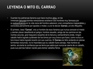 LEYENDA O MITO EL CARRAO
• Cuentan los patriarcas llaneros que hace muchos años, en las
inmensas llanurascolombo-venezolanas existieron dos hombres muy famosos por
su autosuficiencia en la vida recia del hombre sabanero; eran compañeros inseparables y
conocidos plenamente por apodos o motes: a uno le decían Carrao y al otro Mayalito.
• El primero, ósea "Carrao", era un hombre de esos llaneros que nunca conocen el miedo
y sienten placer desafiando el peligro; hombre resuelto, amigo de los caminos en las
noches oscuras, gran baquiano (experto) de la llanura y extraordinario jinete, ningún
caballo había logrado quitárselo de los lomos por muy bravo que fuera, como nunca un
toro bravo había logrado tocarlo con sus cuernos. El Carrao era feliz andando en plenas
tormentas nocturnas, no le importaba que su caballo fuera salvaje, más hombre se
sentía, era tanta la confianza que se tenía que sabía que nunca se caería de un caballo,
pues sus piernas habían nacido para domar caballos fieros.
 