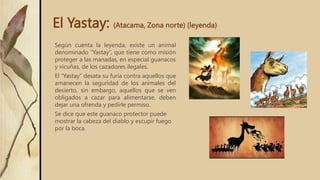 El Yastay: (Atacama, Zona norte) (leyenda)
Según cuenta la leyenda, existe un animal
denominado “Yastay”, que tiene como misión
proteger a las manadas, en especial guanacos
y vicuñas, de los cazadores ilegales.
El “Yastay” desata su furia contra aquellos que
amanecen la seguridad de los animales del
desierto, sin embargo, aquellos que se ven
obligados a cazar para alimentarse, deben
dejar una ofrenda y pedirle permiso.
Se dice que este guanaco protector puede
mostrar la cabeza del diablo y escupir fuego
por la boca.
 