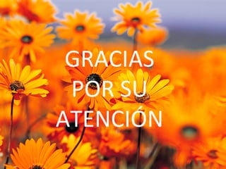 GRACIAS	
  
POR	
  SU	
  	
  
ATENCIÓN	
  
 