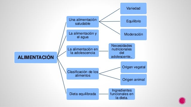 Mitos y verdades sobre la dieta y la nutricion Mitos y verdades sobre la dieta y la nutricion