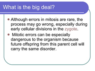 What is the big deal? Although errors in mitosis are rare, the process may go wrong, especially during early cellular divisions in the  zygote . Mitotic errors can be especially dangerous to the organism because future offspring from this parent cell will carry the same disorder. 