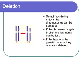 Deletion Sometimes during mitosis the chromosomes can be damaged. If the chromosome gets broken the fragments can be lost. If this happens the genetic material they contain is deleted. 