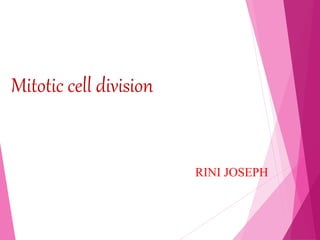 Mitotic cell division
RINI JOSEPH
 