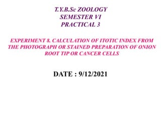EXPERIMENT 8. CALCULATION OF ITOTIC INDEX FROM
THE PHOTOGRAPH OR STAINED PREPARATION OF ONION
ROOT TIP OR CANCER CELLS
DATE : 9/12/2021
T.Y.B.Sc ZOOLOGY
SEMESTER VI
PRACTICAL 3
 