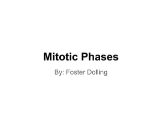 Mitotic Phases
  By: Foster Dolling
 