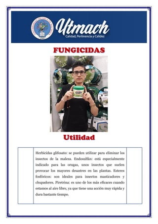 Herbicidas glifosato: se pueden utilizar para eliminar los
insectos de la maleza. Endosulfán: está especialmente
indicado para las orugas, unos insectos que suelen
provocar los mayores desastres en las plantas. Esteres
fosfóricos: son ideales para insectos masticadores y
chupadores. Piretrina: es uno de los más eficaces cuando
estamos al aire libre, ya que tiene una acción muy rápida y
dura bastante tiempo.
 
